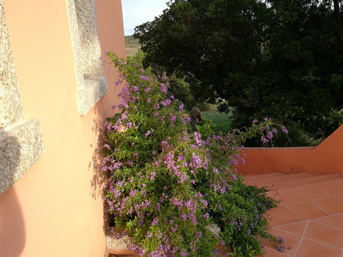 Country House Vignola Mare Альенту Экстерьер фото